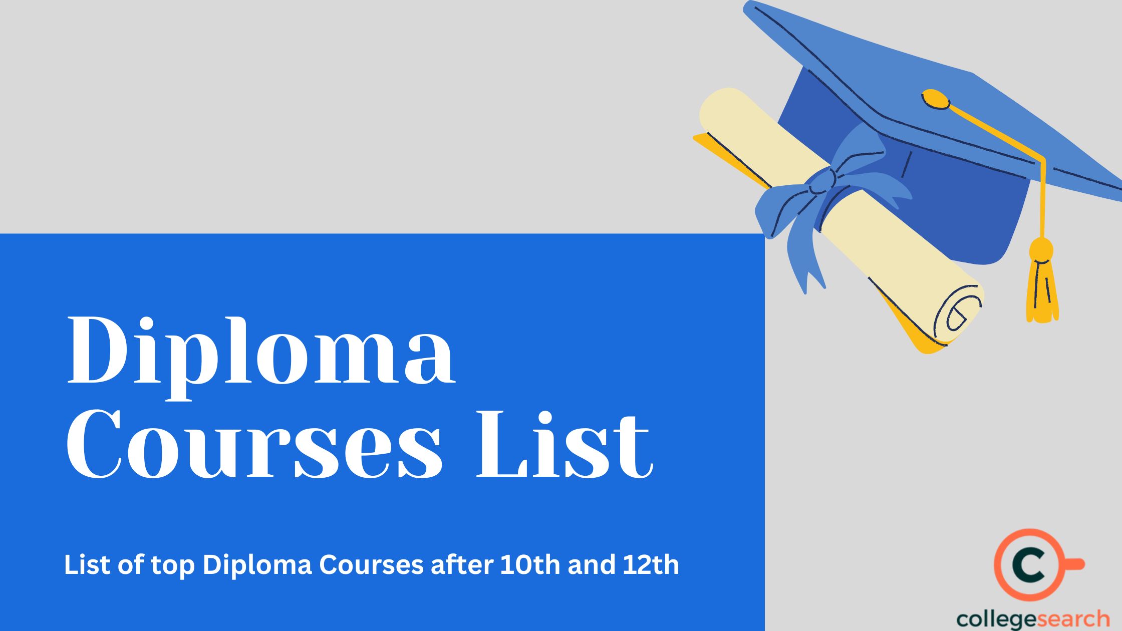 DIPLOMA COURSES